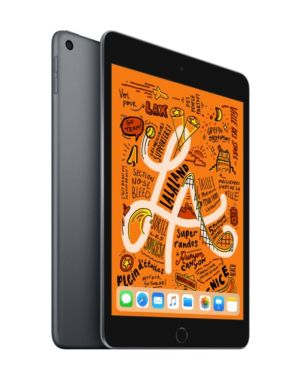 Ipad Mini (5è  génération)