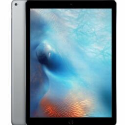 iPad Pro 12,9 pouces (1è génération)