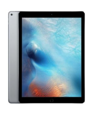 iPad Pro 12,9 pouces (1è génération)