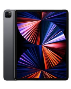 iPad Pro 12,9 pouces (5è génération)